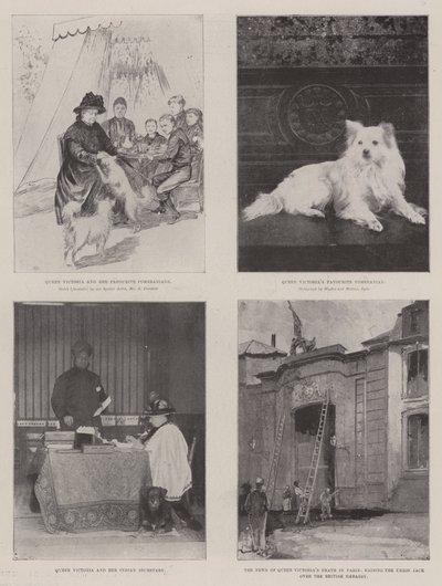 The Life of Victoria by Amedee Forestier